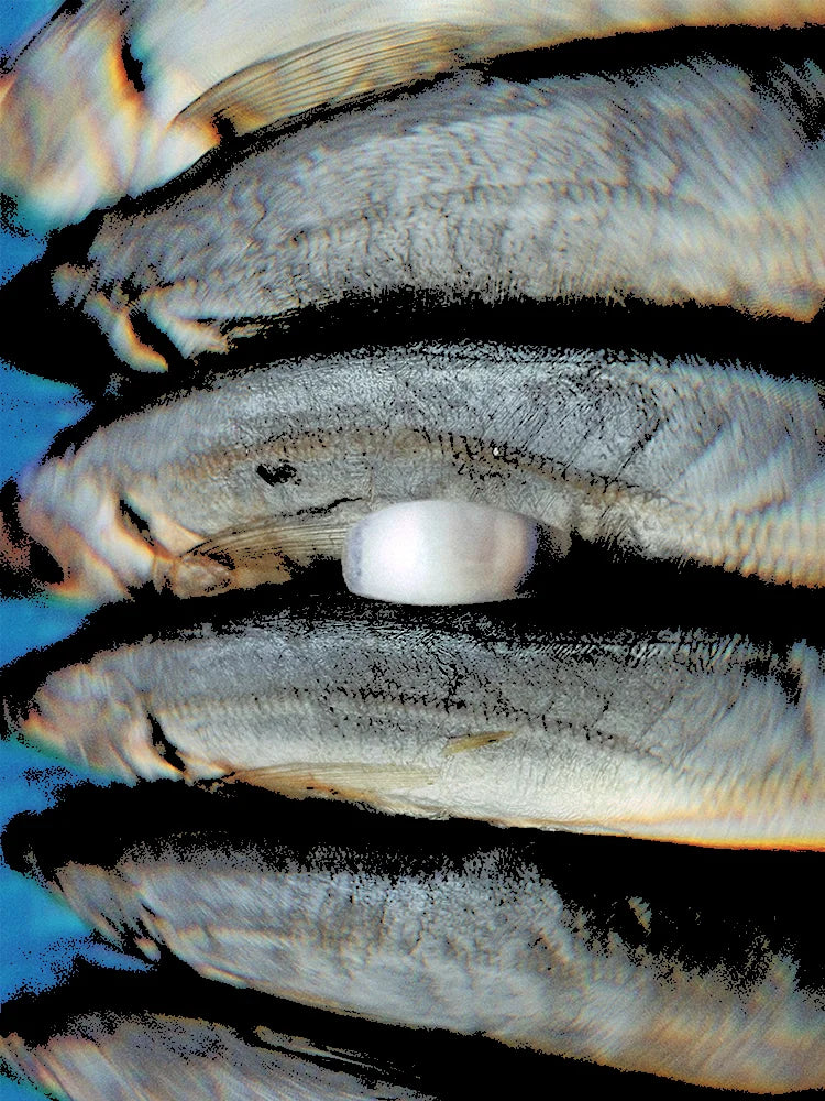 Fairies Whisper Fish Market Silver Adjustable wide silver ring with sand-inspired finish